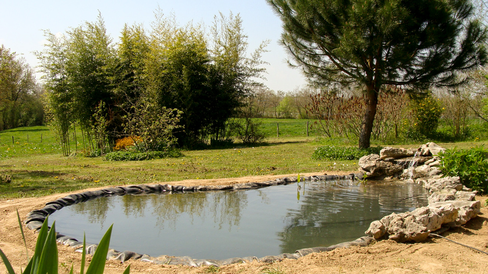 Réalisation de bassins d'agrément et de piscines naturelles 